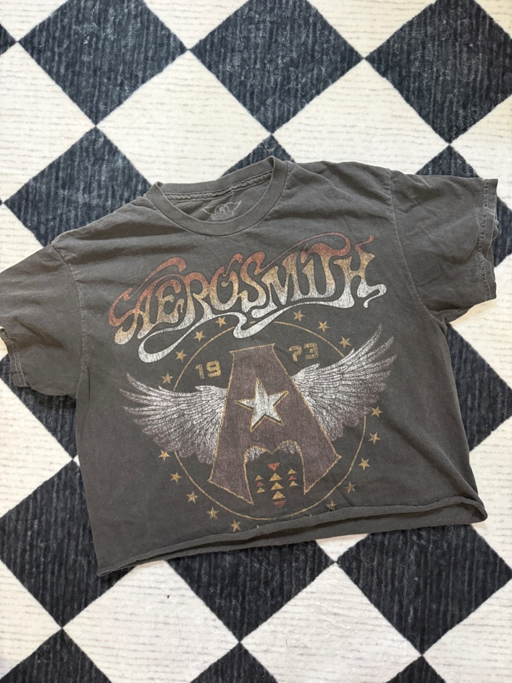 Aerosmith Graphic Band Tee in Washed Black